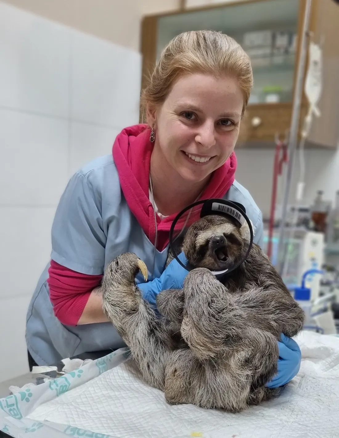 Guta smiling while holding a sloth recovering from anesthesia